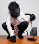monkey phone.JPG